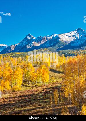 USA, Colorado, Quray. Dallas Divide, sunrise on the Mt. Snaffles with autumn colors Stock Photo