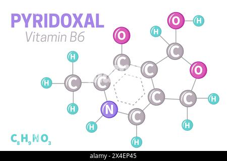 Pyridoxal Vitamin B6 Molecule Formula Illustration Stock Vector