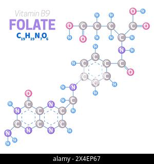Folate or Vitamin B9 Molecule Structure Illustration Stock Vector
