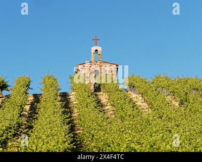 Red Willow Vineyards with stone chapel. (PR) Stock Photo