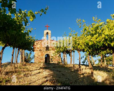 Red Willow Vineyards with stone chapel. (PR) Stock Photo