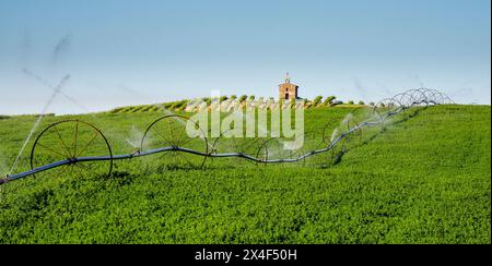 Red Willow Vineyards with stone chapel and water system in the field. (PR) Stock Photo