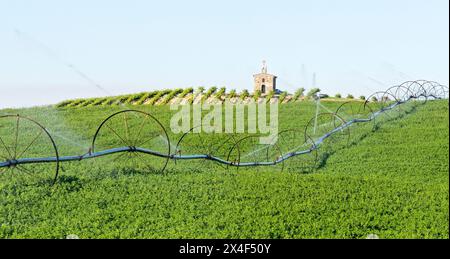 Red Willow Vineyards with stone chapel and water system in the field. (PR) Stock Photo