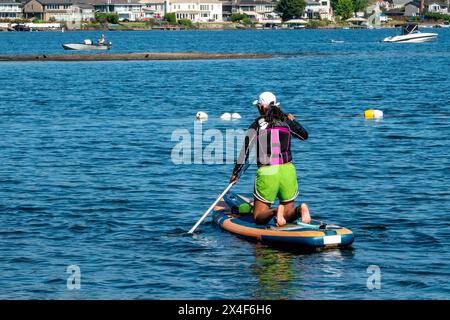 Issaquah, Washington State, USA. Woman kneeling on her paddleboard, paddling along in Lake Sammamish. (Editorial use only) Stock Photo