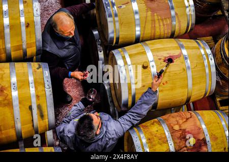 USA, Washington State, Woodinville. Two men sample wine at a barrel tasting at Woodinville winery using a wine thief. (Editorial Use Only) Stock Photo