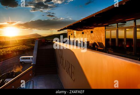 USA, Washington State, Yakima Valley. Dusk on the Col Solare estate vineyard and other Red Mountain vineyards. (Editorial Use Only) Stock Photo