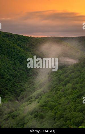 USA, West Virginia, Blackwater Falls State Park. Landscape overview of forested valley at sunset. Stock Photo