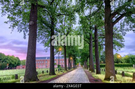 This image captures a serene early morning scene along a cobblestone pathway lined with tall, mature trees, leading towards a classical building. The scene is illuminated by streetlights, casting soft glows on the path. The sky, painted with hues of purple and blue, suggests dawn. The setting is likely a historic site or a well-preserved estate, emphasizing tranquility and natural beauty. Dawn at Historic Tree-Lined Avenue with Cobblestone Path. High quality photo Stock Photo