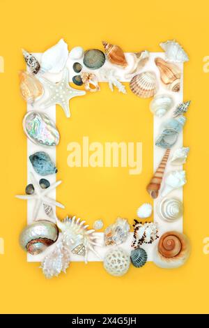 Exotic seashell background border with assorted shells on yellow background with white frame. Minimal natural nature sea life design. Stock Photo