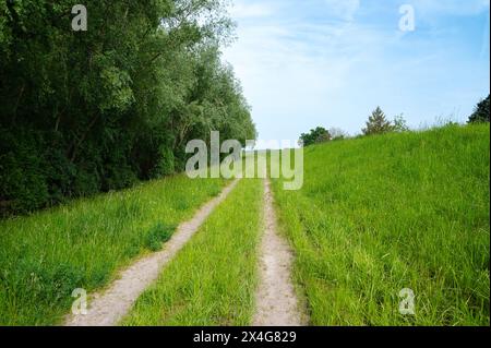 Path through a meadow and forest, nature in spring, environment and ecology concept, recreational area in Germany Stock Photo