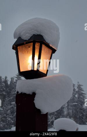 Snow covered street lamp glowing in the dark winter night Stock Photo ...