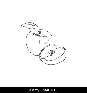 Continuous line apple and sliced apple. Vector illustration Stock ...