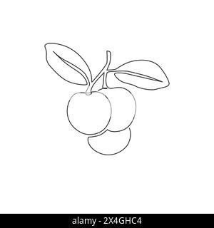 One continuous line drawing of whole healthy organic longan for orchard logo identity. Fresh fruitage concept for fruit garden icon. Modern single lin Stock Vector