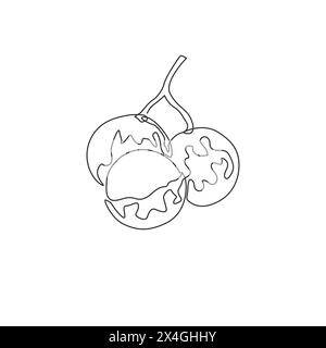One single line drawing of whole and cut healthy organic longan for orchard logo identity. Fresh fruitage concept for fruit garden icon. Modern contin Stock Vector