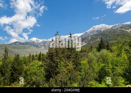 Snow capped peak of Mount Cika viewed through hillside forest trees, near Dhermi, Albania, Europe Stock Photo