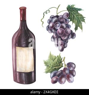 Wine bottle of red wine., grape. Han drawn watercolor illustration. Drawing isolated on the white background. Wine set. For menus, bars, restaurants, Stock Photo