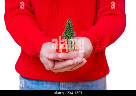 Man in red sweater and blue jeans holds a miniature Christmas scene in cradled hands including a tiny New Year tree figurine, reindeer and gift box. Stock Photo