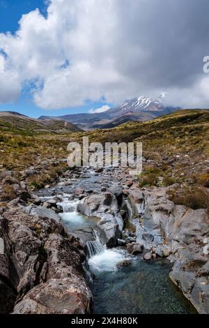 View looking up the Wairere Stream towards Mt Ruapehu, Tongariro National Park, Manawatu-Whanganui Region, North Island, New Zealand Stock Photo