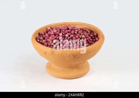 Seeds of Hybrid Coriander Leaf Rich Coriandrum Sativum Chinese Parsley or Dhania for Growing Sowing. High Quality Purple Red Coriander Seeds. Hybrid C Stock Photo