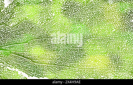 Skeleton green leaf background. Not AI. Vector illustration Stock Vector