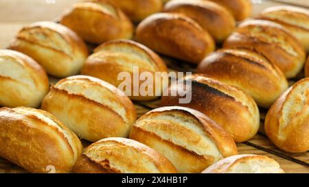 Close up fresh small baked bread isolated background. Stock Photo