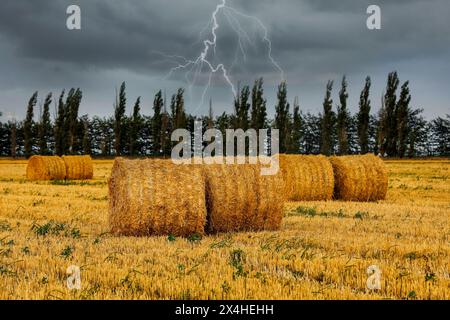 Hay bales in field under stormy sky with lightnings Stock Photo