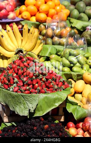 Full frame, no people -colourful, contrasting wide variety of fresh fruits on display at Antigua market, Guatemala, Central America. World Heritage. Stock Photo