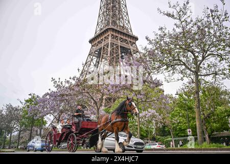 Paris, France. 01st May, 2024. Illustration of the Eiffel Tower with a horse-drawn carriage in front on May 1, 2024. Photo by Tomas Stevens/ABACAPRESS.COM Credit: Abaca Press/Alamy Live News Stock Photo