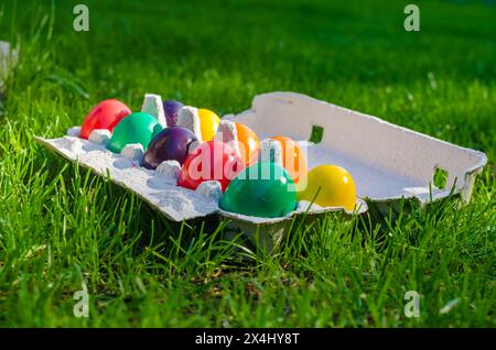 twelve hand painted colorful easter eggs in an egg carton. on the grass High quality photo Stock Photo