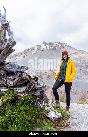 Young woman in yellow jacket standing in front of a volcano, Chaiten Volcano, Carretara Austral, Chile Stock Photo