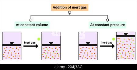 Effect of inert gas addition or Le Chatelier’s Principle Stock Vector