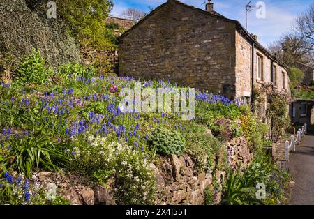 A spring HDR image of a beautiful village garden in Grassington, North Yorkshire, England. 30 April 2024 Stock Photo