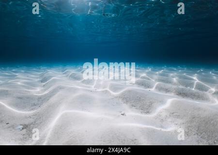 Tropical blue ocean with white sand underwater Stock Photo