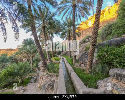 Trekking through the falaj (aflaj: the ancient Omani irrigation channels), Misfat Al Abriyeen, Oman Stock Photo