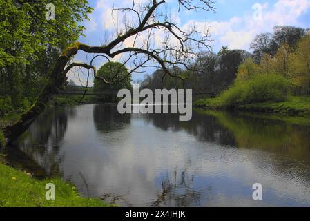 Suspension Bridge over the River Wharfe at Hebden Hippings (below Hebden) in Wharfedale, North Yorshire, England, UK Stock Photo