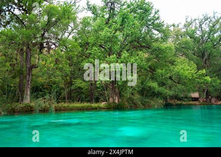Beautiful river background in tropical forest with blue water during the summer of the huasteca in El Esalto del Meco Mexico, tourist destination Stock Photo