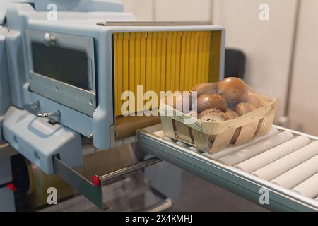 Automatic package of vegetable and fruit flow pillow packing machine. Food industry Stock Photo