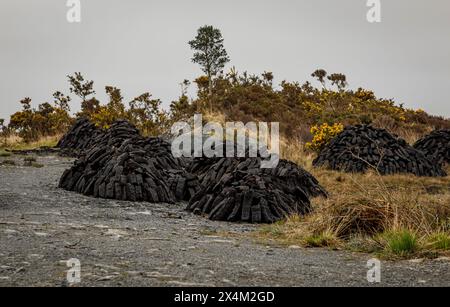 Piles of peat harvested for use in the bogs of Moycullen in County Galway Stock Photo