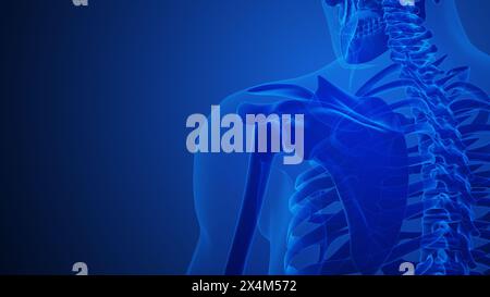 Shoulder Joint Pain with blue background Stock Photo