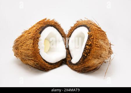 A Coconut covered with Coir or Coconut fiber which has white flesh or Coconut meat and coconut embryo inside sliced in halves. Stock Photo