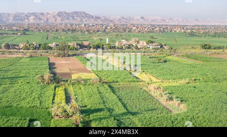 Lush fields growing crops in Luxor, Egypt. Stock Photo