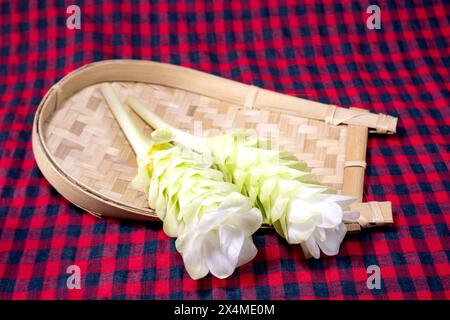 Edible Turmeric Flower on bamboo tray. Curcuma longa. Stock Photo