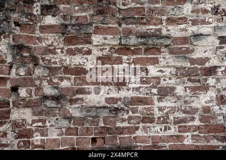 Brick wall. The background is made of red brick with white sprinkles. High quality photo Stock Photo