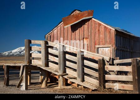 Headquarters barn, Steptoe Valley Wildlife Management Area, Nevada Stock Photo