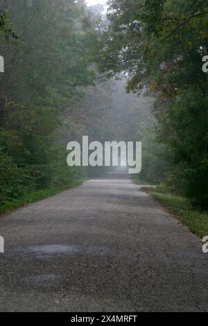 Asphalt road in foggy forest at rainy day in Pisarovinska Jamnica, Croatia Stock Photo