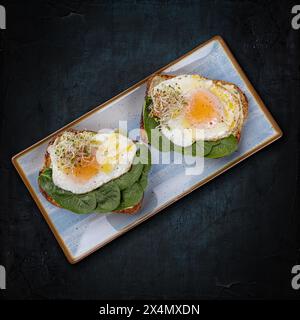 Top view of healthy avocado toast topped with fried eggs and fresh sprouts on a ceramic plate Stock Photo