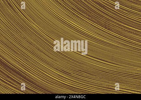 close up of  golden  striped arc  color  textured bakground Stock Photo