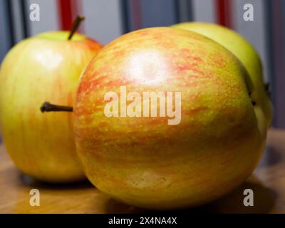 Colorful Apple Display. A group of apples, varying in color, arranged on wood, suitable for culinary and agricultural use. Stock Photo