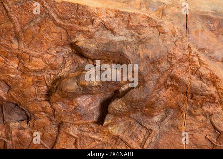 Eubrontes dinosaur track, St. George Dinosaur Discovery Site at Johnson Farm, St. George, Utah Stock Photo