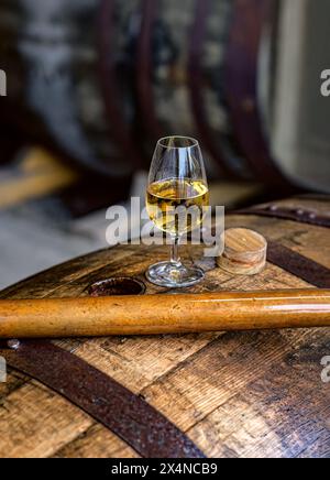 Sampling organic scottish whisky from an oak cask bunghole, using a ...
